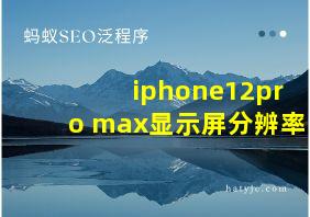 iphone12pro max显示屏分辨率