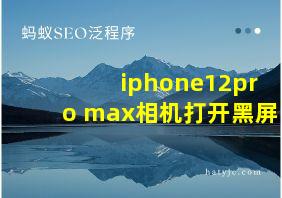 iphone12pro max相机打开黑屏