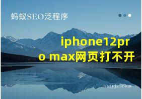 iphone12pro max网页打不开