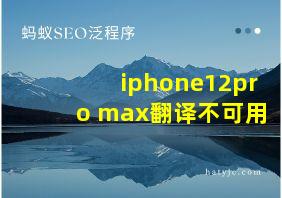 iphone12pro max翻译不可用