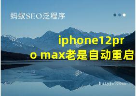 iphone12pro max老是自动重启