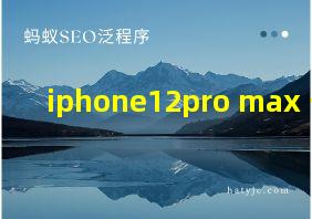 iphone12pro max 长宽