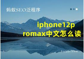 iphone12promax中文怎么读