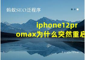 iphone12promax为什么突然重启