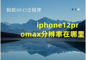 iphone12promax分辨率在哪里