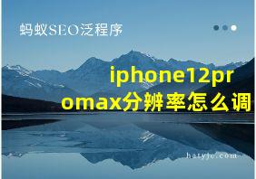 iphone12promax分辨率怎么调