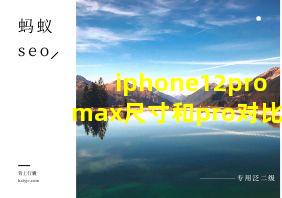 iphone12promax尺寸和pro对比