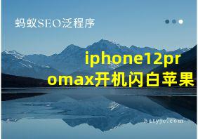 iphone12promax开机闪白苹果