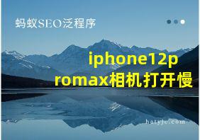 iphone12promax相机打开慢