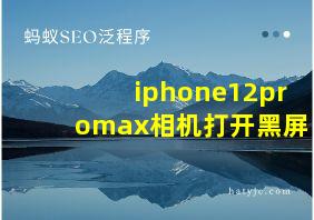 iphone12promax相机打开黑屏