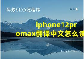 iphone12promax翻译中文怎么读