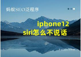 iphone12siri怎么不说话