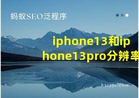 iphone13和iphone13pro分辨率