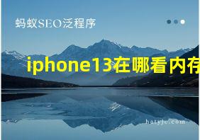 iphone13在哪看内存