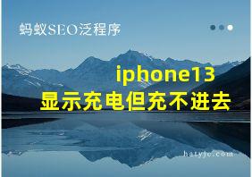 iphone13显示充电但充不进去