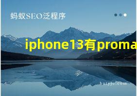 iphone13有promax吗