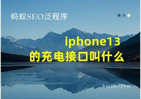 iphone13的充电接口叫什么