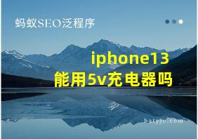 iphone13能用5v充电器吗