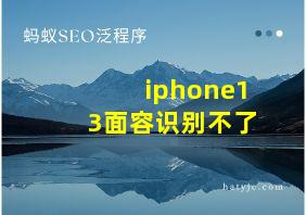 iphone13面容识别不了