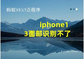 iphone13面部识别不了