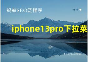 iphone13pro下拉菜单