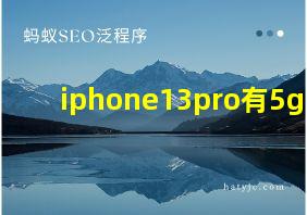 iphone13pro有5g吗