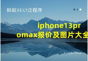 iphone13promax报价及图片大全