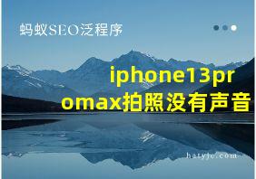 iphone13promax拍照没有声音