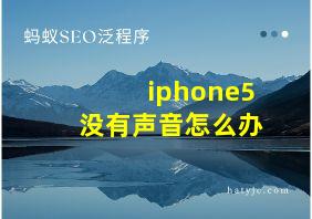 iphone5没有声音怎么办