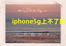 iphone5g上不了网