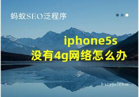 iphone5s没有4g网络怎么办