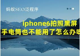 iphone6拍照黑屏手电筒也不能用了怎么办呀