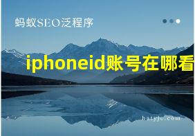 iphoneid账号在哪看