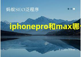 iphonepro和max哪个好