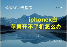 iphonex白苹果开不了机怎么办