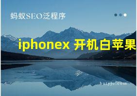 iphonex 开机白苹果