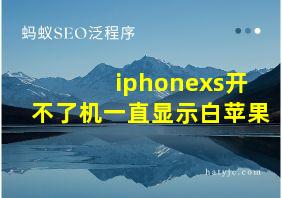 iphonexs开不了机一直显示白苹果