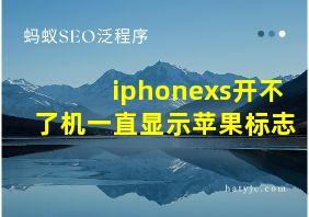 iphonexs开不了机一直显示苹果标志