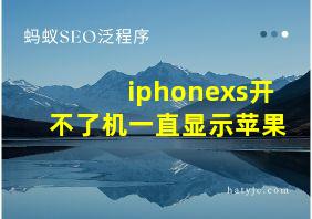 iphonexs开不了机一直显示苹果