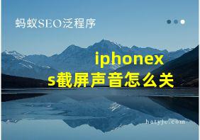 iphonexs截屏声音怎么关