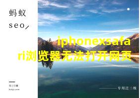 iphonexsafari浏览器无法打开网页