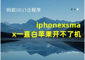 iphonexsmax一直白苹果开不了机