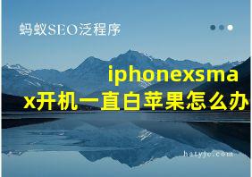 iphonexsmax开机一直白苹果怎么办