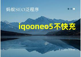 iqooneo5不快充