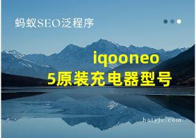 iqooneo5原装充电器型号