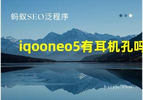 iqooneo5有耳机孔吗