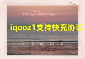 iqooz1支持快充协议