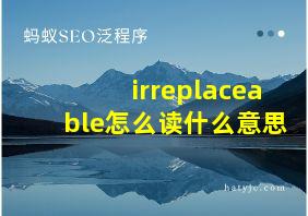 irreplaceable怎么读什么意思