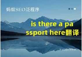 is there a passport here翻译