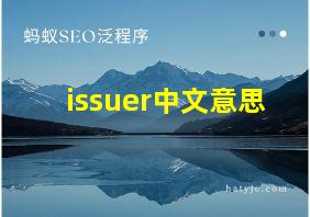 issuer中文意思